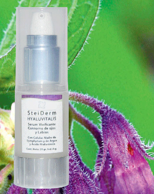 steinderm