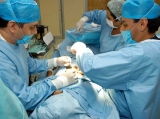 Los tratamientos de medicina esttica genital aumentaron un 50% en 2012